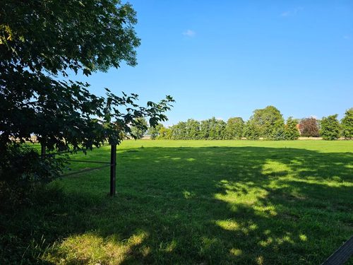 Bouwgrond Reiderwolderpolder 27 in Finsterwolde