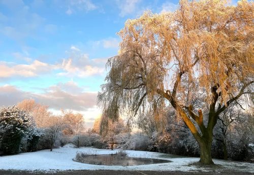 Bouwgrond Fiifhuzen in Harkema