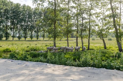 Bouwgrond 't Weegje (Bouwnr. 9) in Waddinxveen